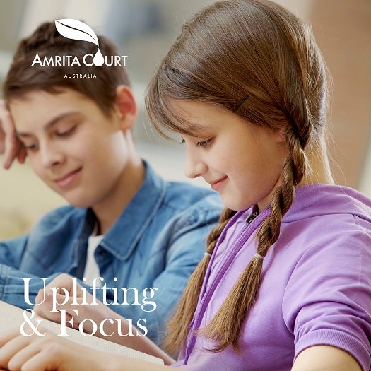 Enlighten+Wood Diffuser